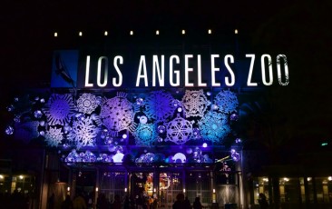 Zoo Lights at LA Zoo