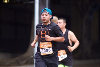 Rock and Roll Marathon 2014