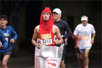 Rock and Roll Marathon 2014