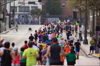 Rock and Roll Marathon 2014